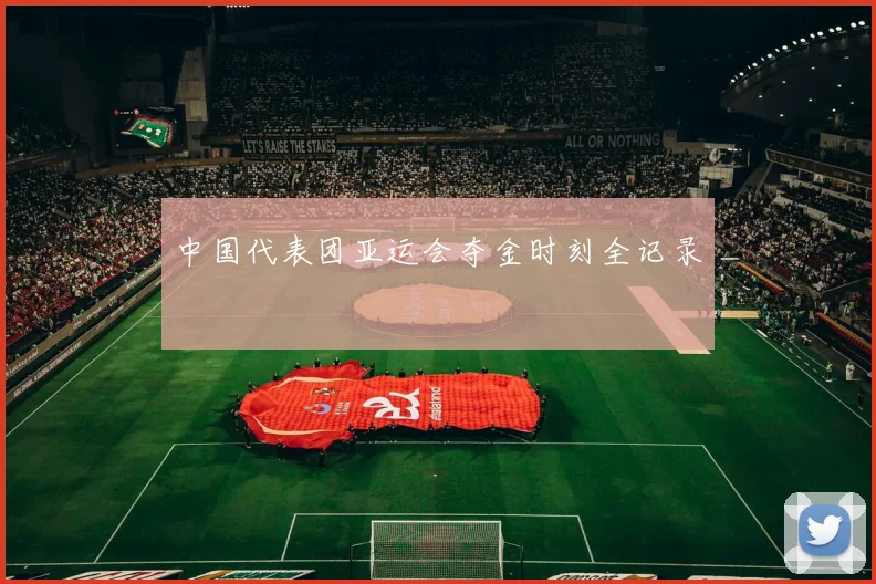 中国代表团亚运会夺金时刻全记录