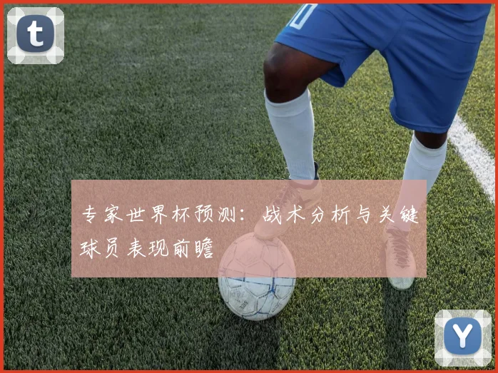 专家世界杯预测：战术分析与关键球员表现前瞻