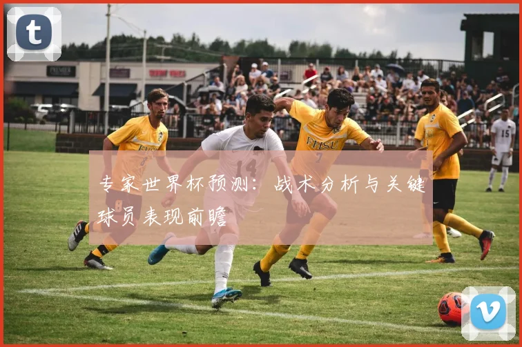 专家世界杯预测:战术分析与关键球员表现前瞻