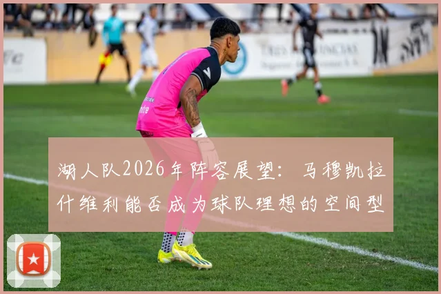 湖人队2026年阵容展望:马穆凯拉什维利能否成为球队理想的空间型四号位?